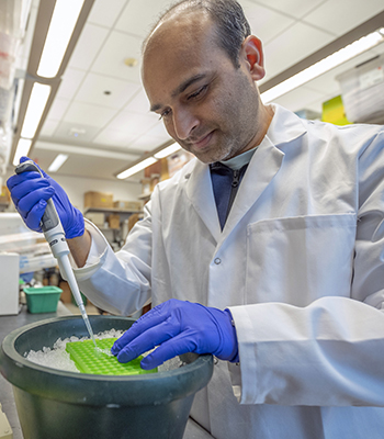 A research scientist wearing a lab coat works in a laboratory at MSK.